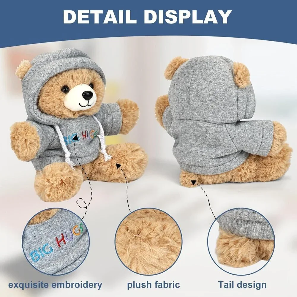 Big Hugs Teddy Bear Stuffed Animal with Gift Box Removable Hoodie Toy
